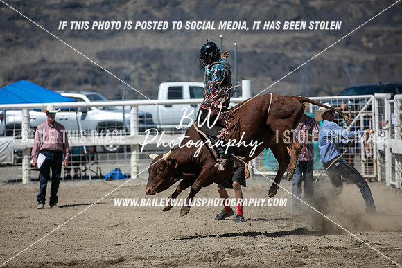 RR2_4482