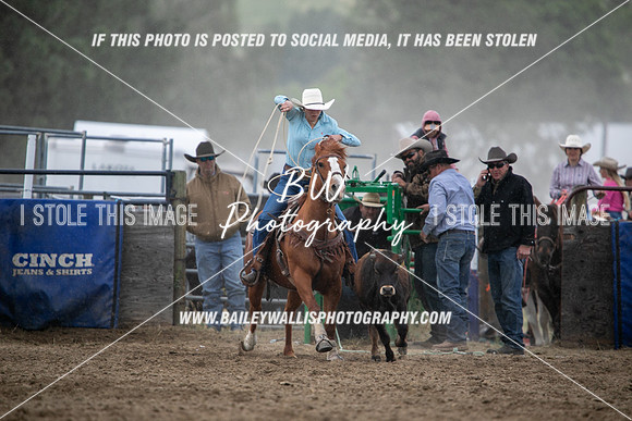 HS1_2379