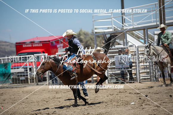 RR2_3317