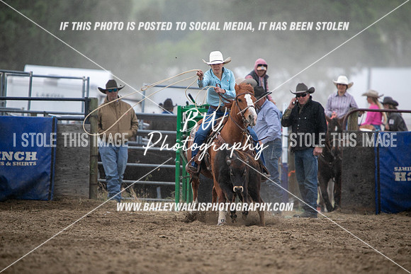 HS1_2381