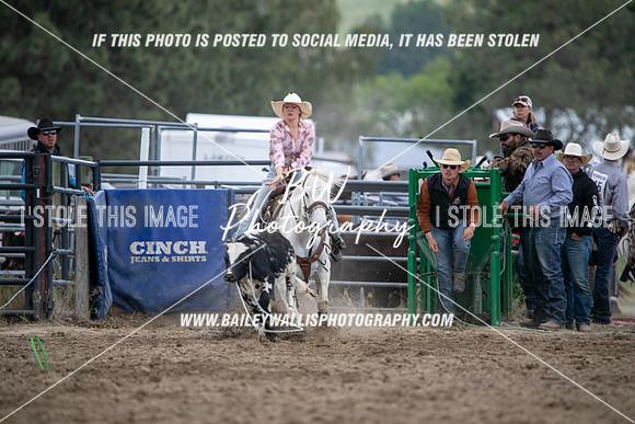 HS1_2279