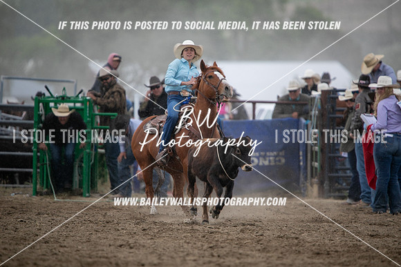 HS1_2388