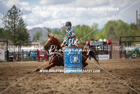 HS1_0843