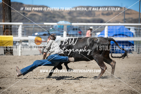 RR1_3983