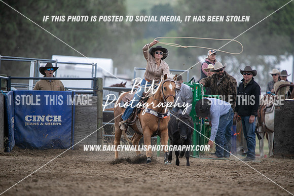 HS1_2323