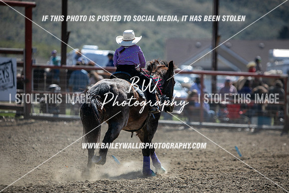 TR2_4483