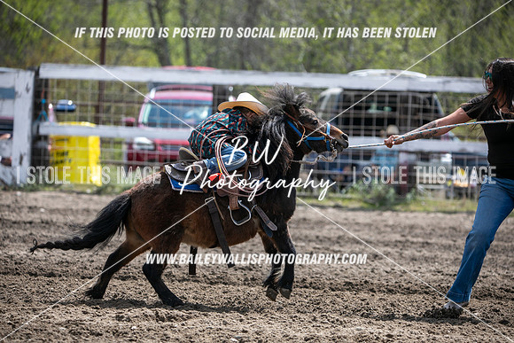 NR2_2759