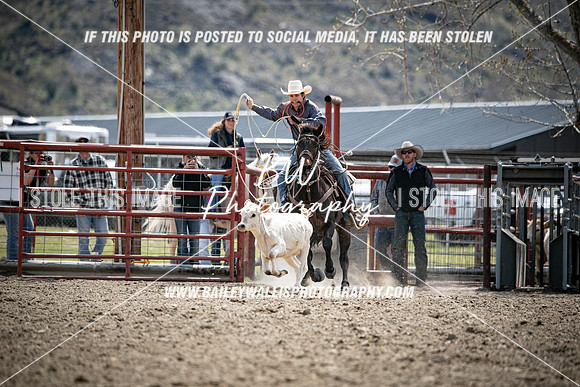 TR2_3206