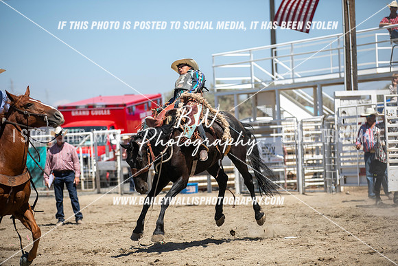 RR2_3271