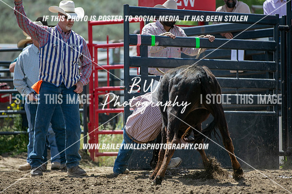 JH1_0119