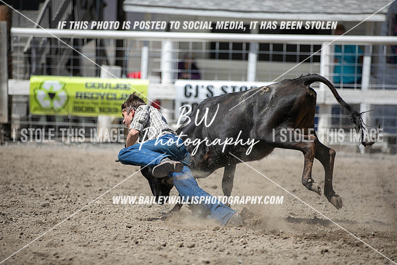 RR1_3986