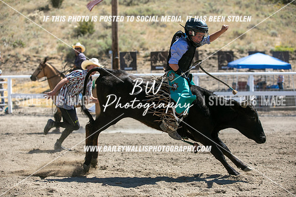 RR2_4659