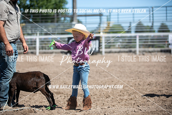 LS1_0786