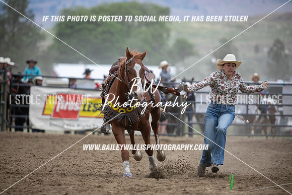 HS2_3327