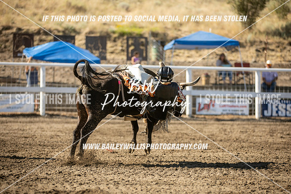 RR2_0370