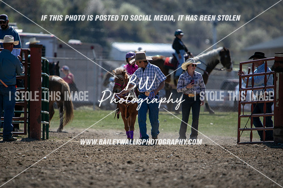 TR2_4368