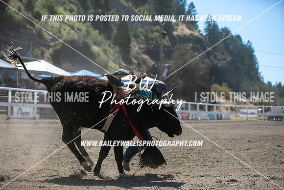 RR2_4771