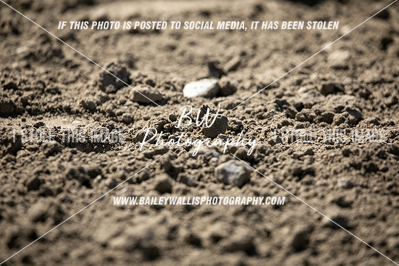 TR2_2861