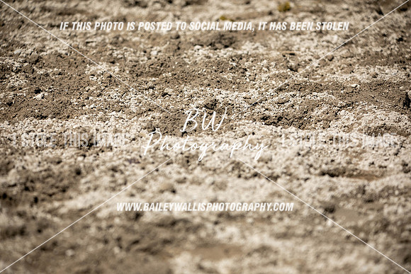 RR1_0994
