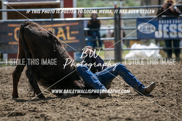 JH1_0091