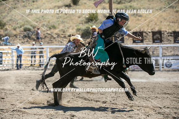 RR2_4658