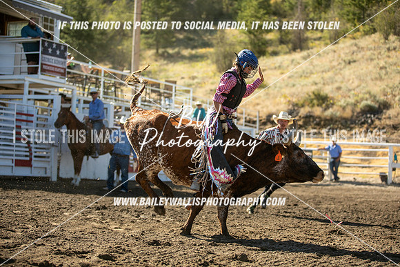 RR2_0299