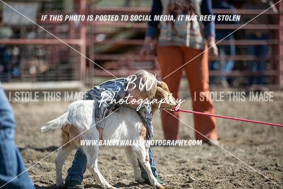 TR2_5199