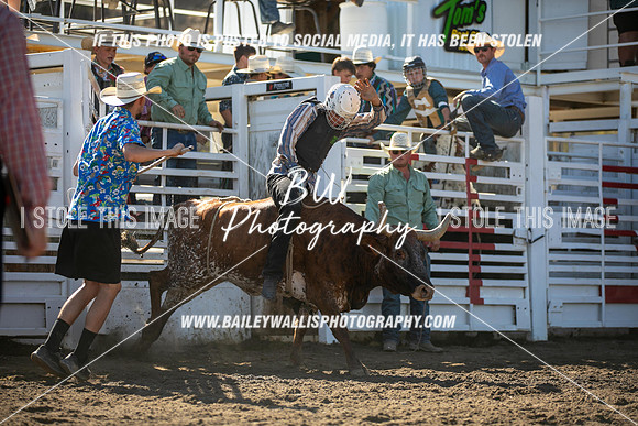 RR2_0394