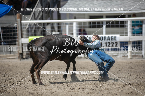 RR1_3967