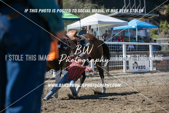 RR1_1697