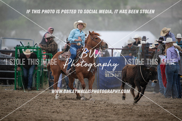 HS1_2390
