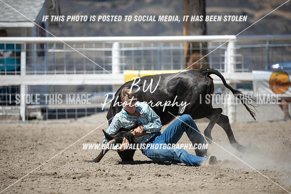 RR1_3964