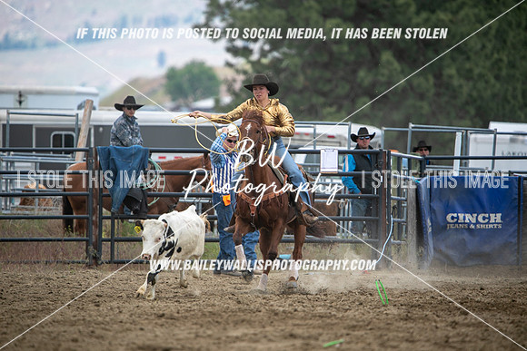 HS1_2238