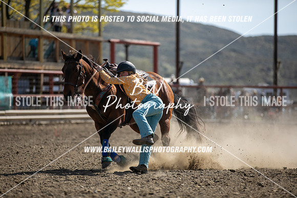 TR2_5691