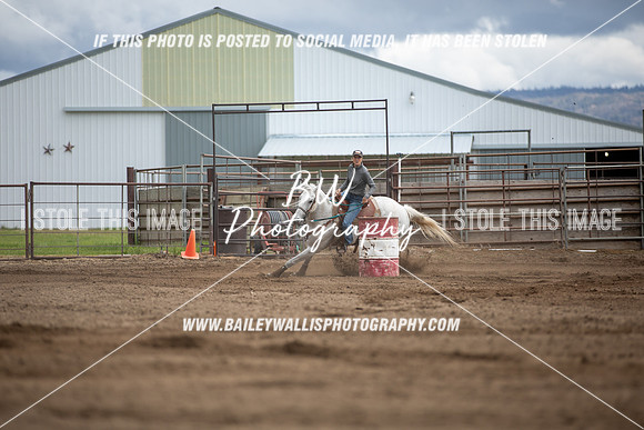 NR2_0374
