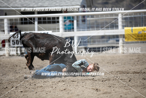RR1_3969