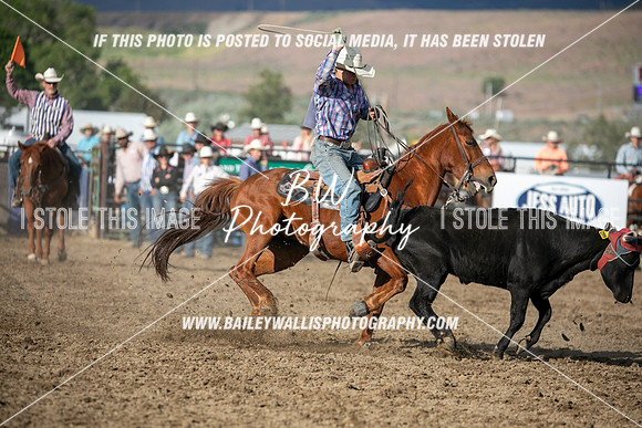 JH1_3542