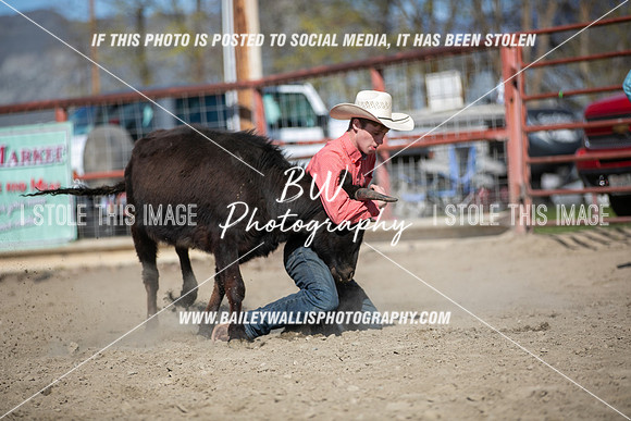 TR2_5998