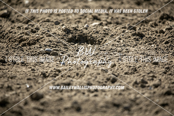 TR2_2994