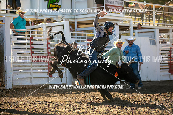 RR2_0270