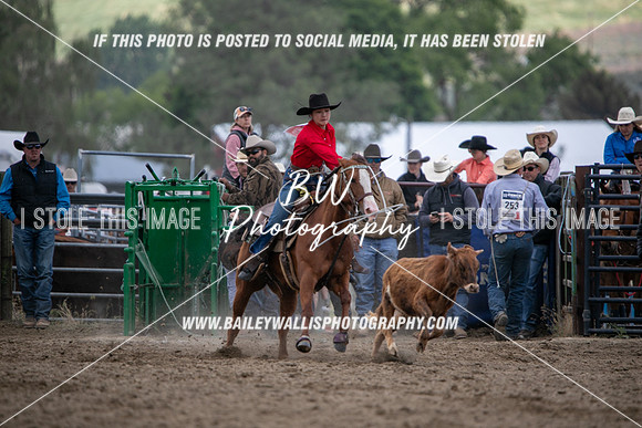 HS1_2219