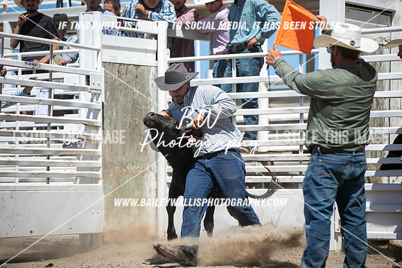 RR1_3996