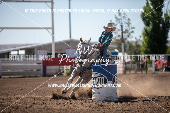 LS2_4258