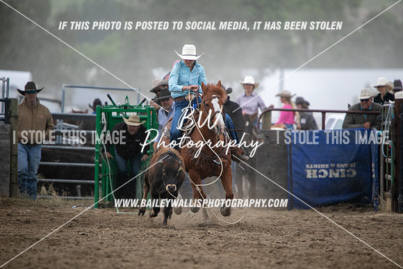 HS1_2384
