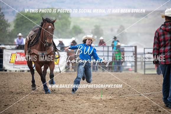HS2_3415