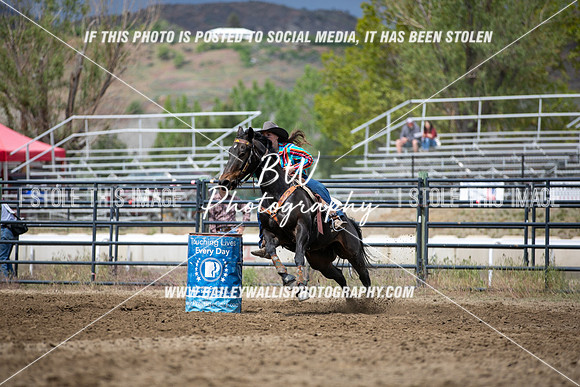 HS1_0879