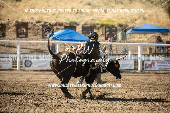 RR2_0369