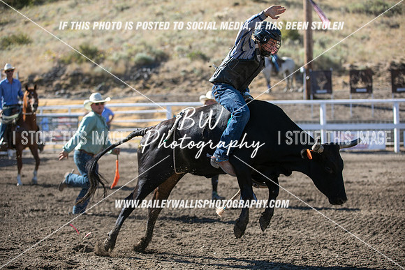 RR2_0277