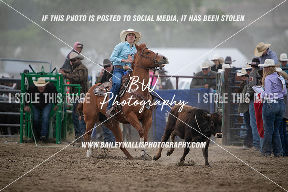 HS1_2389