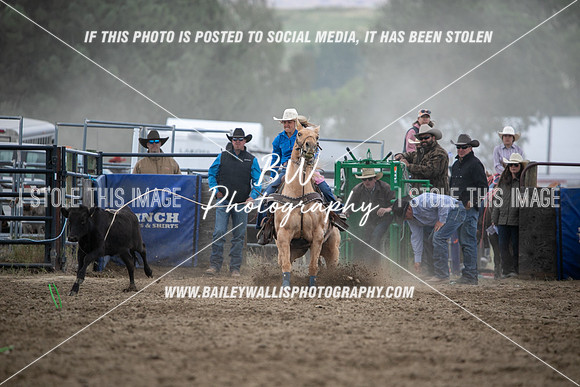HS1_2359